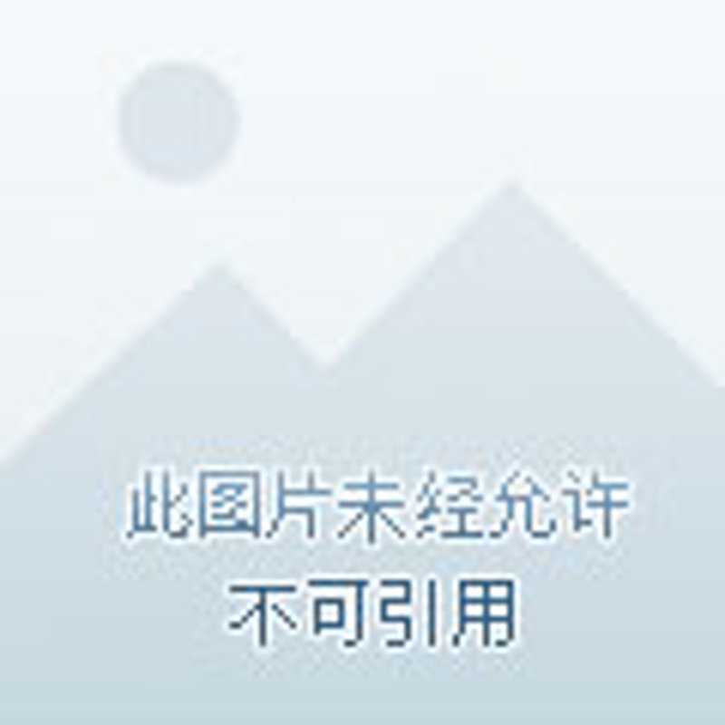 芯片维修设备：2026年，纳米探针与AI诊断的协同进化